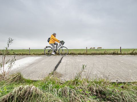 Radfahrer auf Radweg am Deich