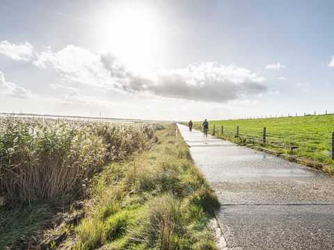 Radweg am Deich mit zwei Radfahrern im Hintergrund