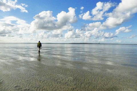 Eine Person im Watt