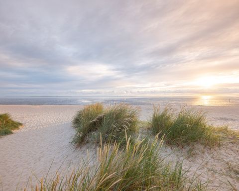 Strand von Schillig