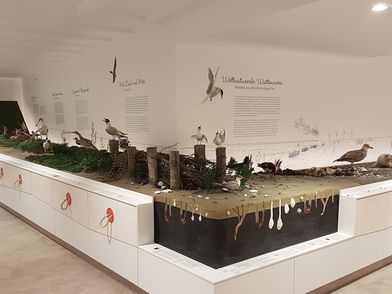 Landschaftsmodell vom Wattenmeer im Nationalparkhaus Minsen