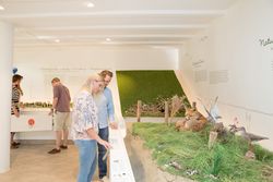Personen gucken sich die Ausstellung im Nationalpark-Haus an.