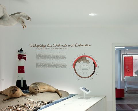 Ausstellung von Robbenmodellen auf einer künstlichen Sandbank