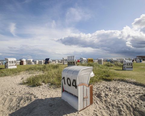Strandkörbe, die am Übergang von Wiese zu Strand stehen