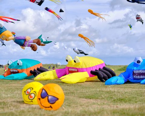 Drachen in Form von Krebsen, die am Boden befestigt sind