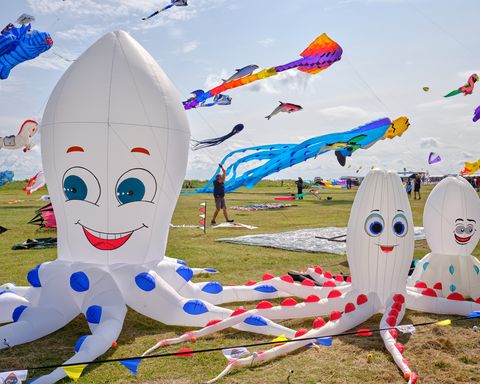 Drachen in Form von Oktopussen, die auf dem Boden festgemacht sind