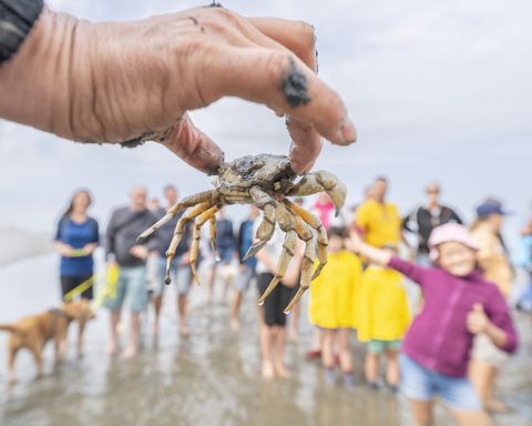 Nahaufnahme einer Hand, die eine Krabbe hochhält und einer Gruppe Menschen zeigt
