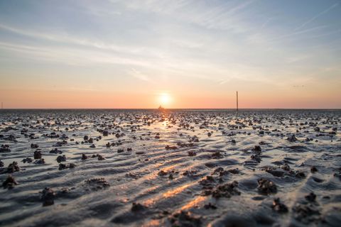 Sonnenuntergang im Watt