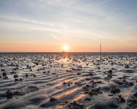 Sonnenuntergang im Watt