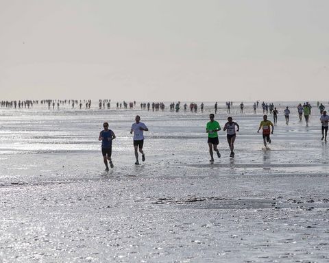 Läufer rennen durchs Watt beim Friesencross