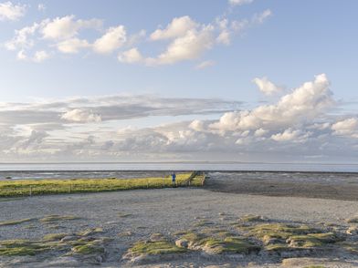 Blick auf die Nordsee mit Watt und Salzwiesen
