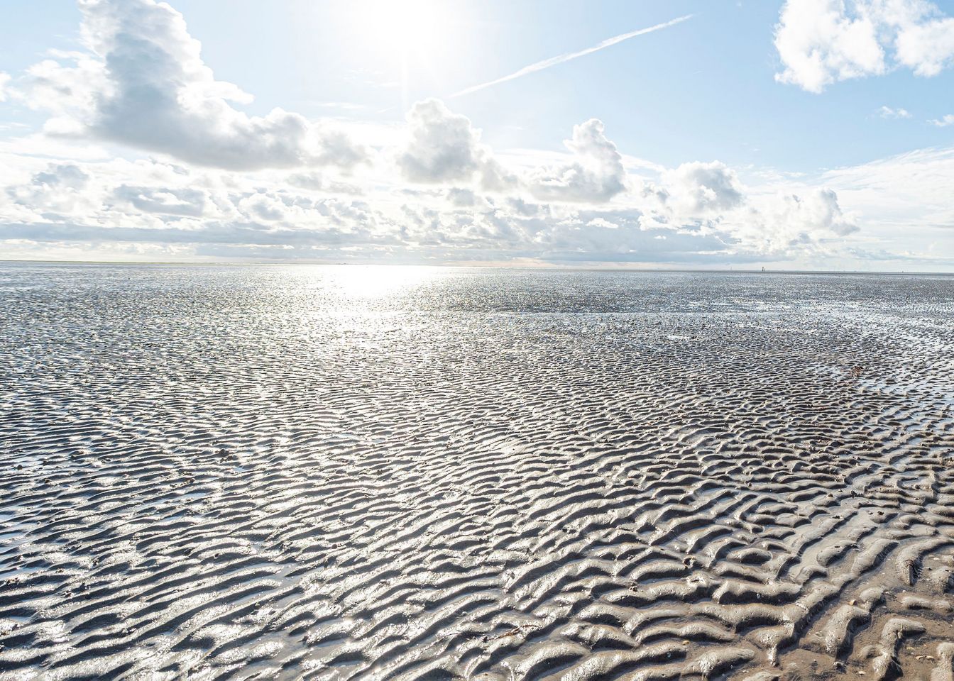 Wattlandschaft
