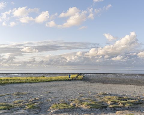 Weiter Blick über den Naturstrand und das Wattenmeer