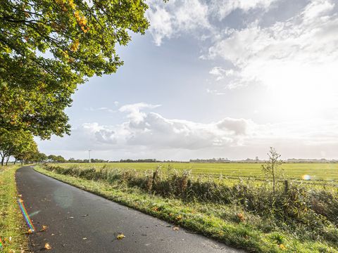 Blick auf eine Wiese mit Feldweg im Vordergrund