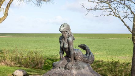 Das Seewiefken in Minsen mit dem Deich im Hintergrund
