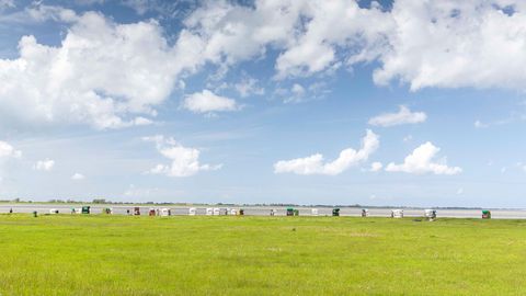 grüne Wiese mit Strandkörben und Meer im Hintergrund