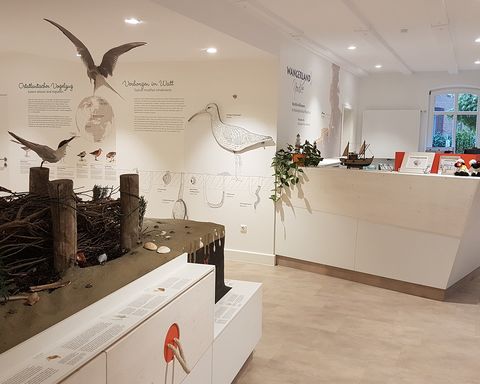 Blick in einen Ausstellungsraum des Nationalpark-Hauses